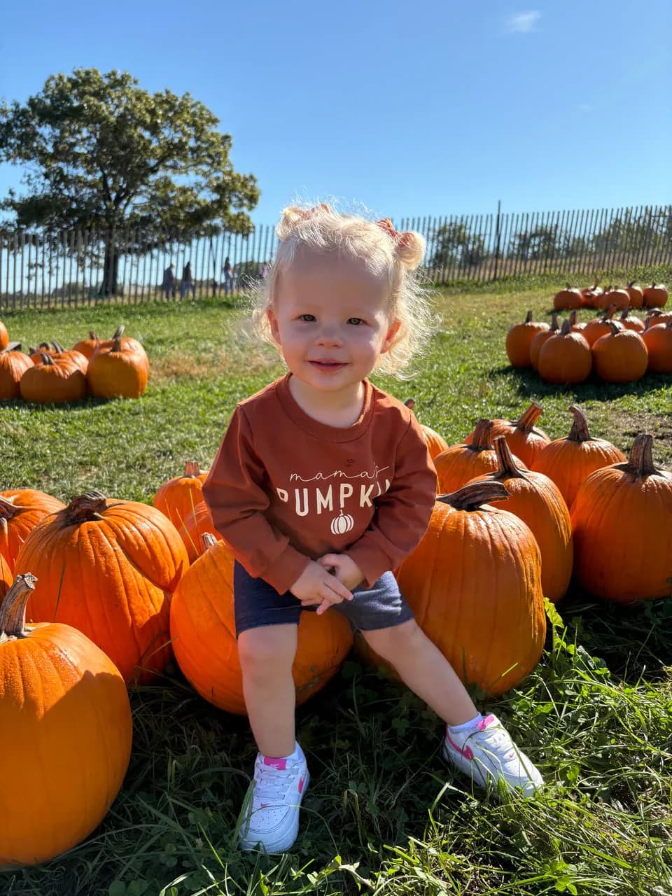 Riley's real pumpkin-patch photo